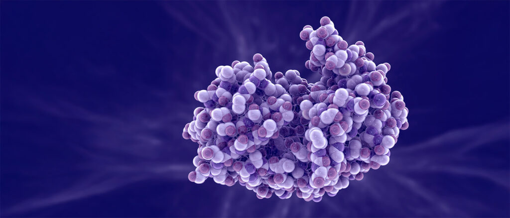 Custom Proteins and Reagents - Fortis Life Sciences | Empirical Bioscience