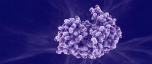 Custom Proteins and Reagents - Fortis Life Sciences | Empirical Bioscience