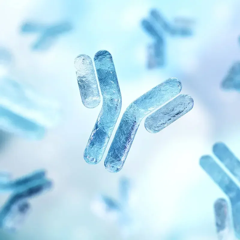 Lateral Flow Assay Development - Fortis Life Sciences